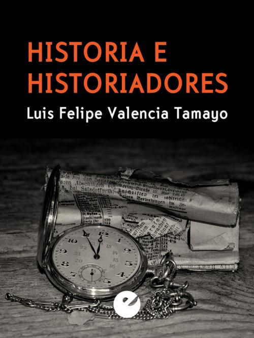 Cover of the book Historia e historiadores by Luis Felipe Valencia Tamayo, Punto de Vista