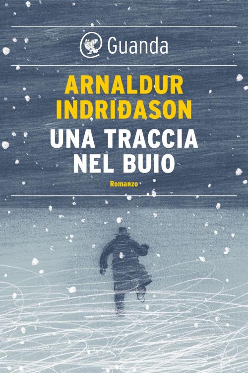 Cover of the book Una traccia nel buio by Arnaldur Indridason, Guanda
