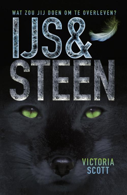 Cover of the book IJs en steen by Victoria Scott, WPG Kindermedia