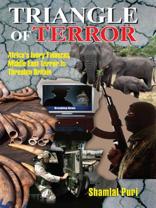 Cover of the book Triangle of Terror by Shamlal Puri, Diamond Pocket Books Pvt ltd.