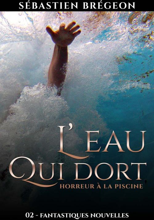 Cover of the book L'eau qui dort by Sébastien Brégeon, Sébastien Brégeon