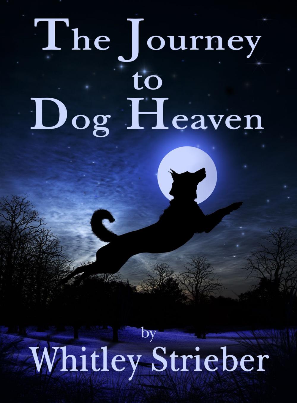 Big bigCover of The Journey to Dog Heaven