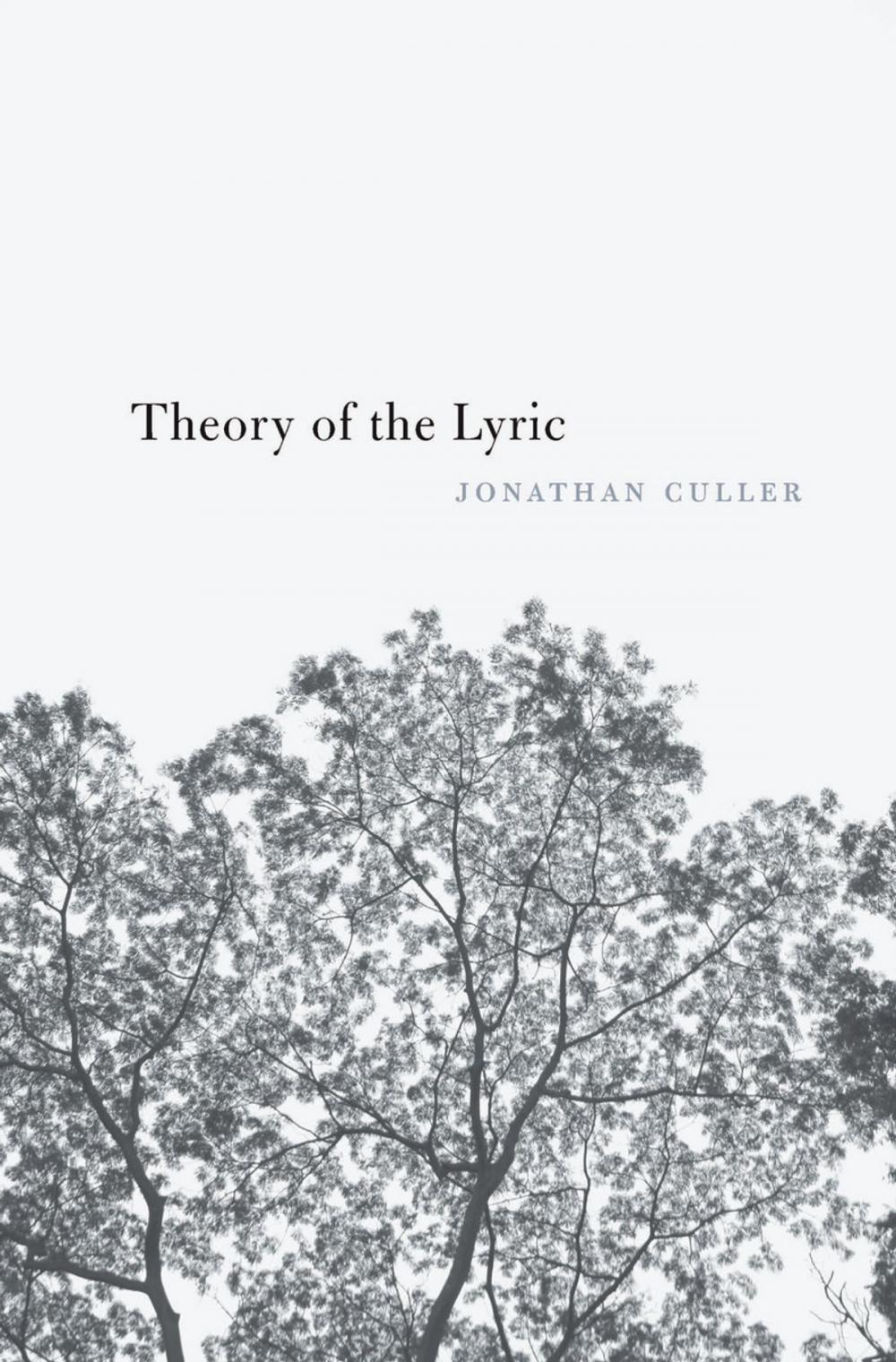Big bigCover of Theory of the Lyric