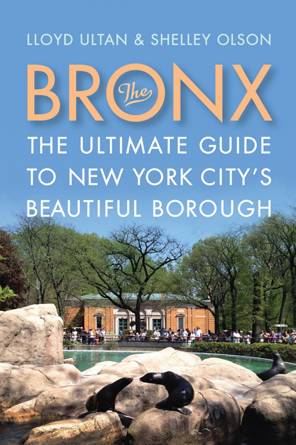 Big bigCover of The Bronx