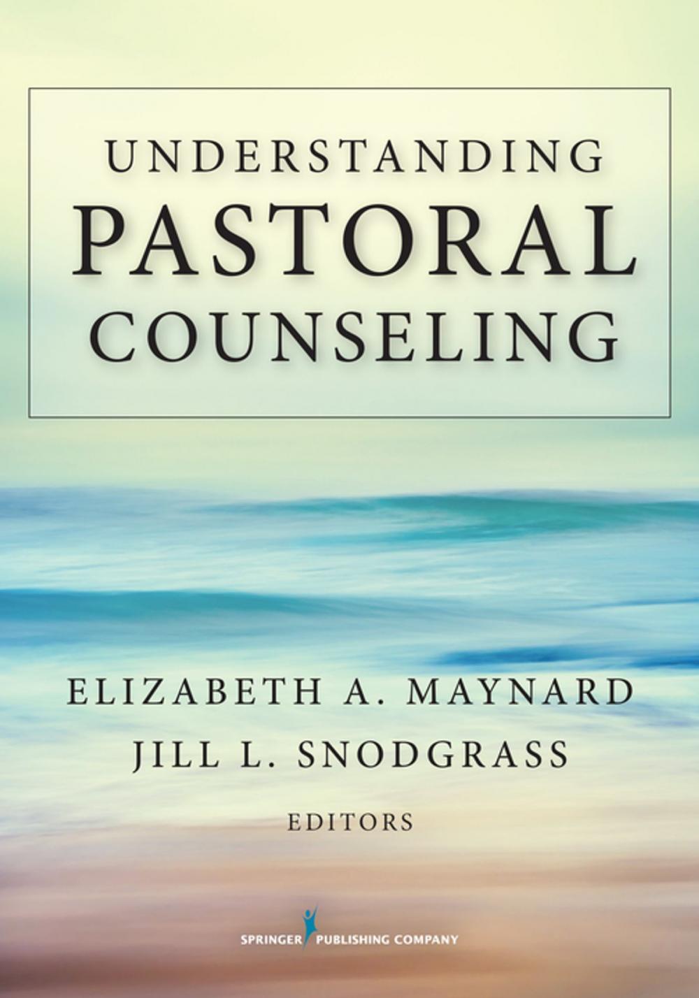 Big bigCover of Understanding Pastoral Counseling