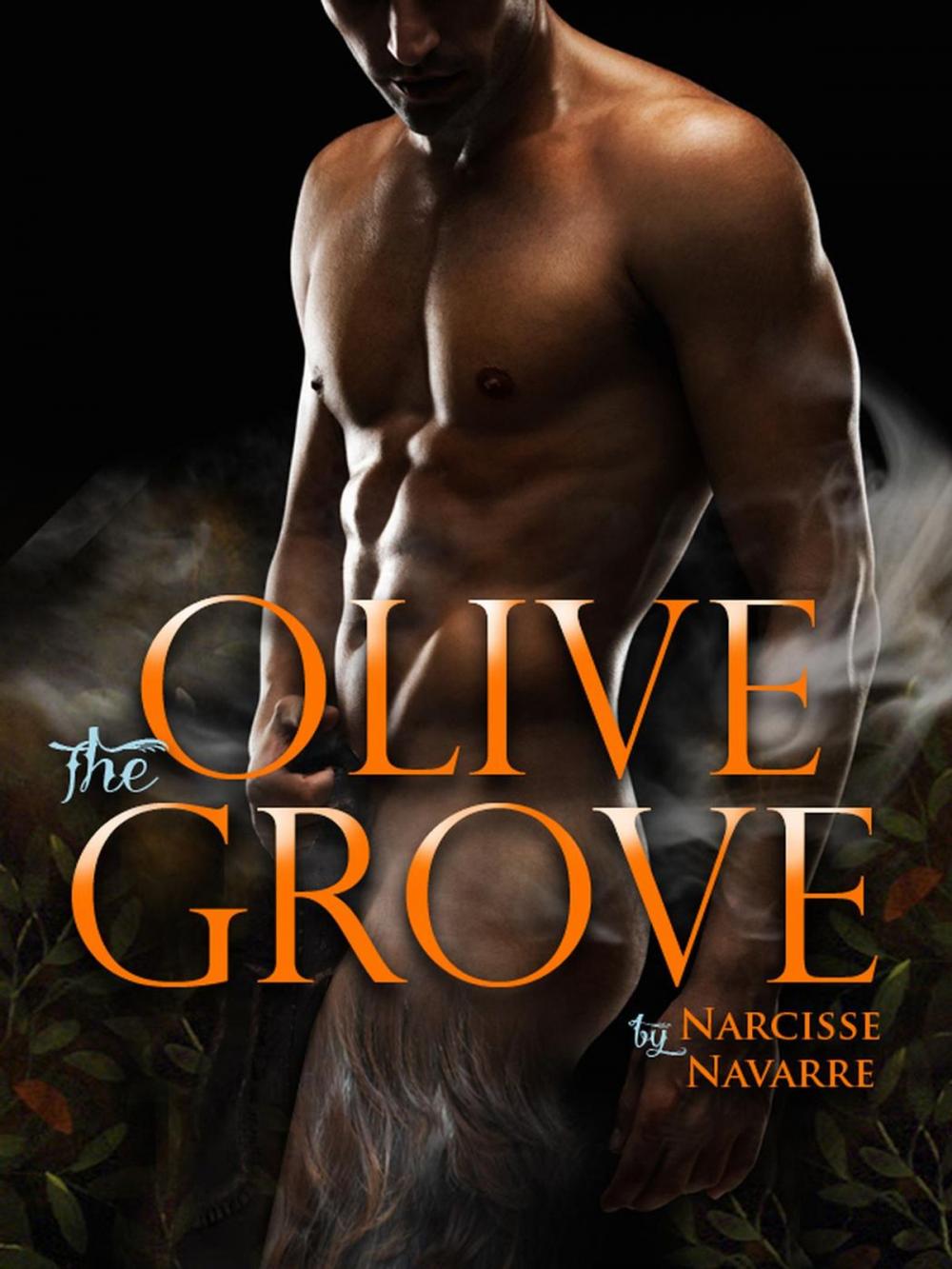 Big bigCover of The Olive Grove