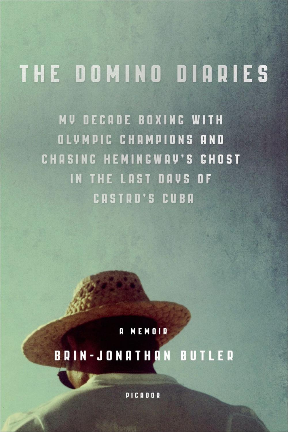 Big bigCover of The Domino Diaries