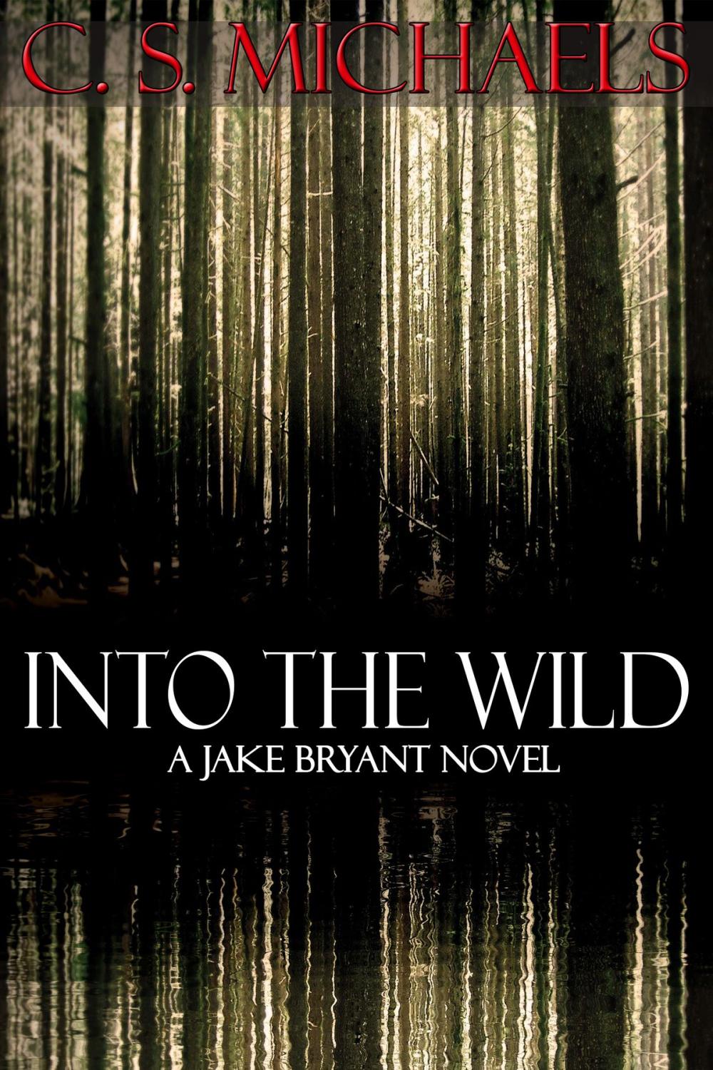 Big bigCover of Into the Wild