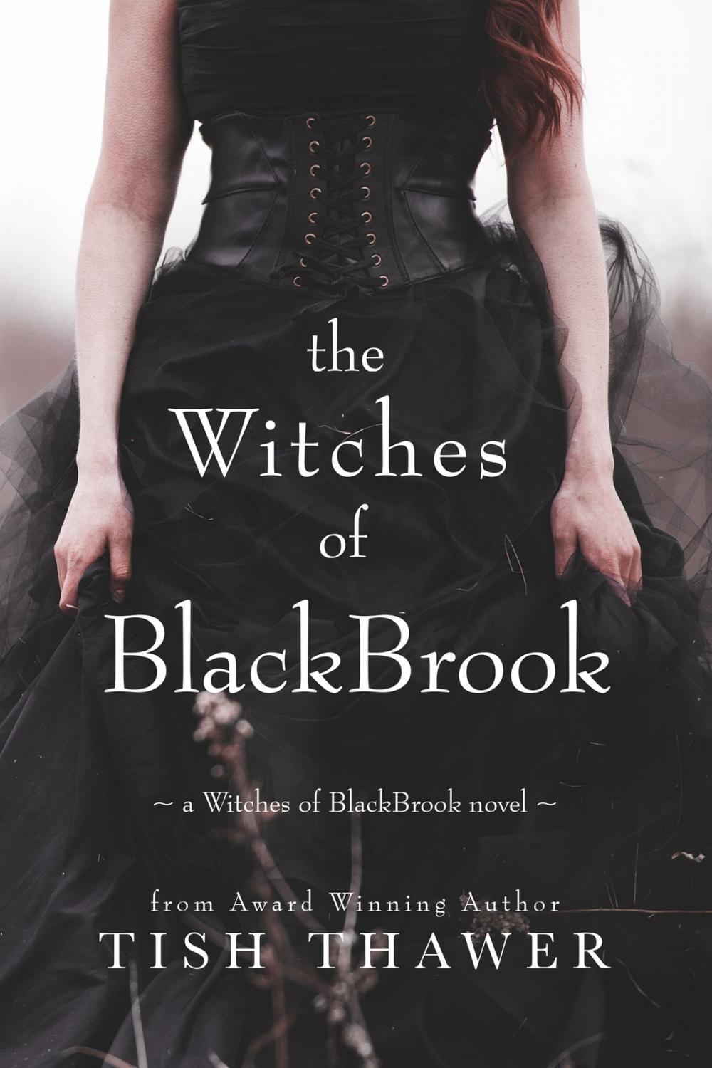 Big bigCover of The Witches of BlackBrook
