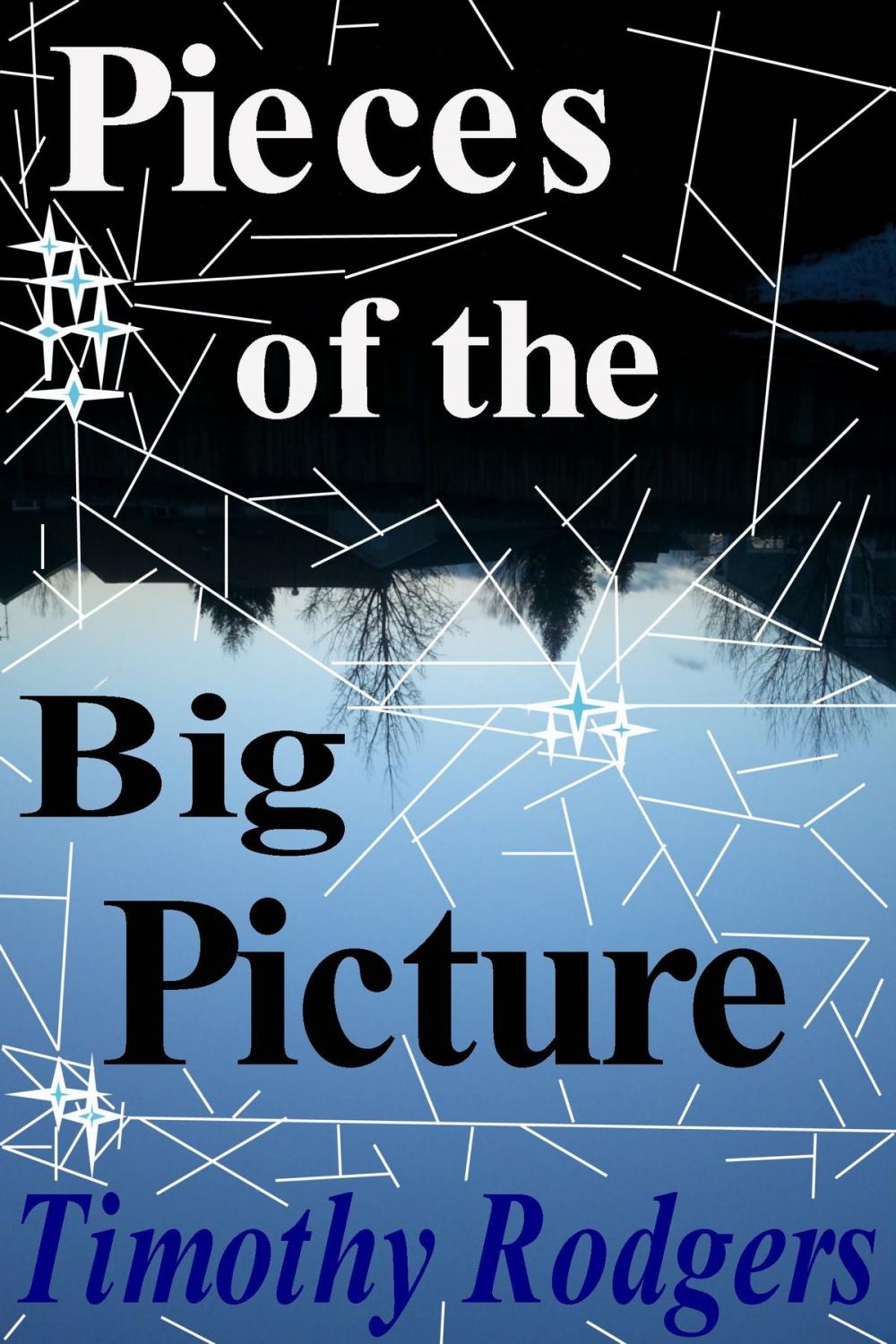Big bigCover of Pieces of the Big Picture: Poetry