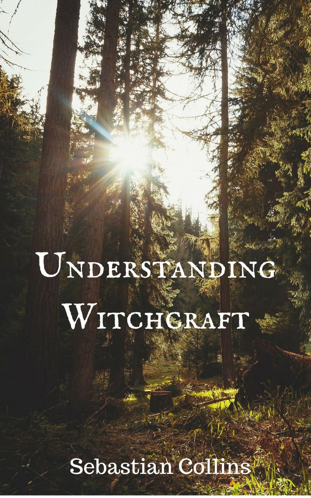 Big bigCover of Understanding Witchcraft