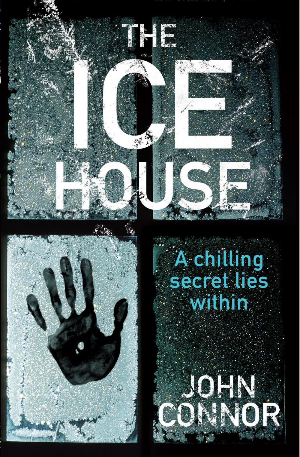 Big bigCover of The Ice House