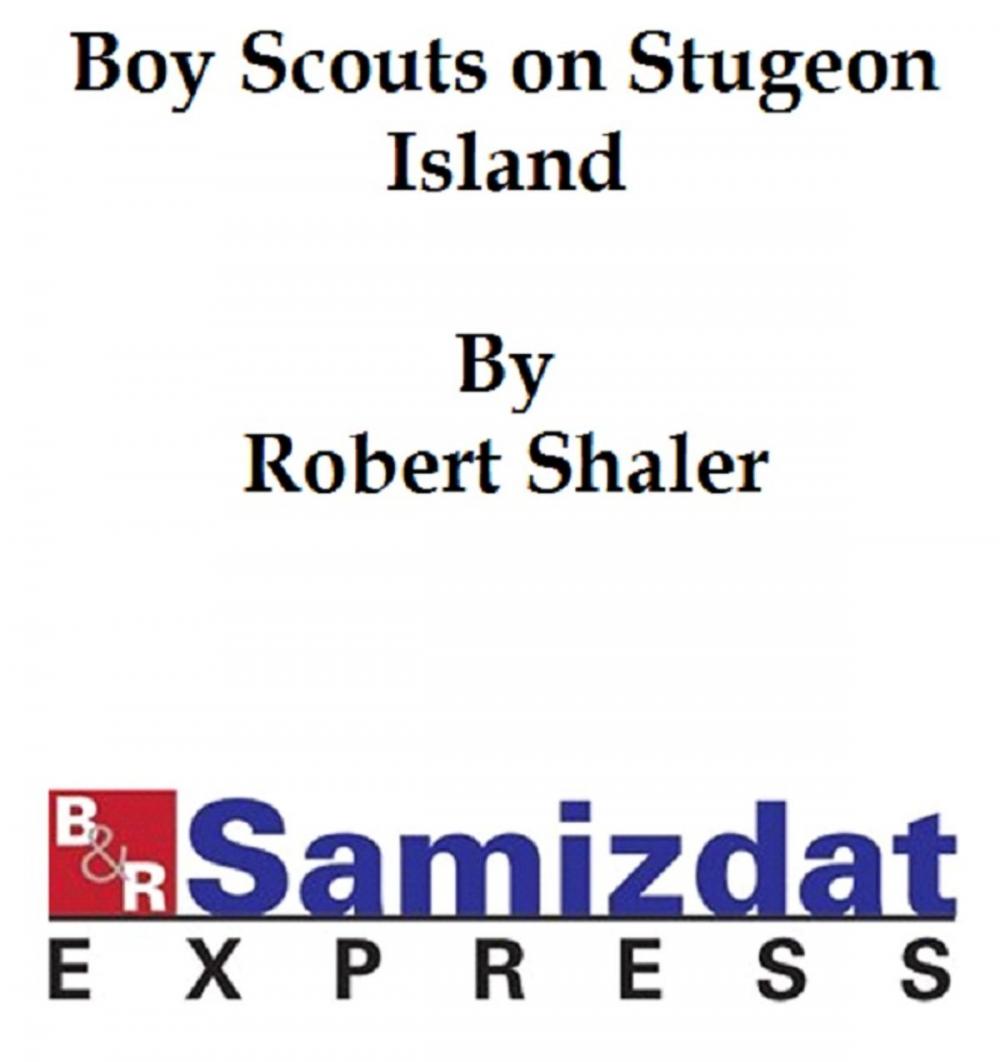 Big bigCover of The Boy Scouts on Sturgeon Island or Marooned Among the Game-Fish Poachers