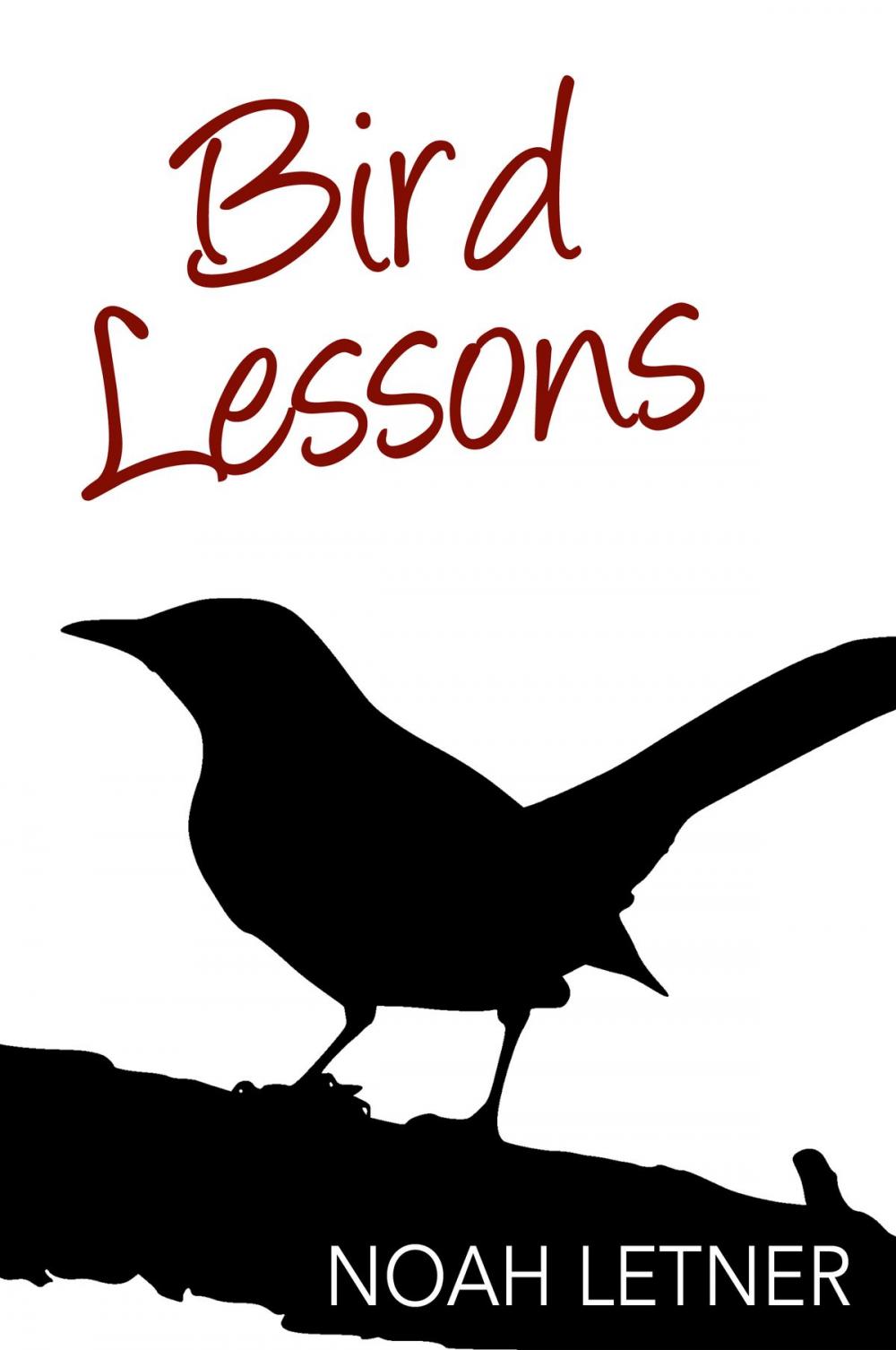 Big bigCover of Bird Lessons