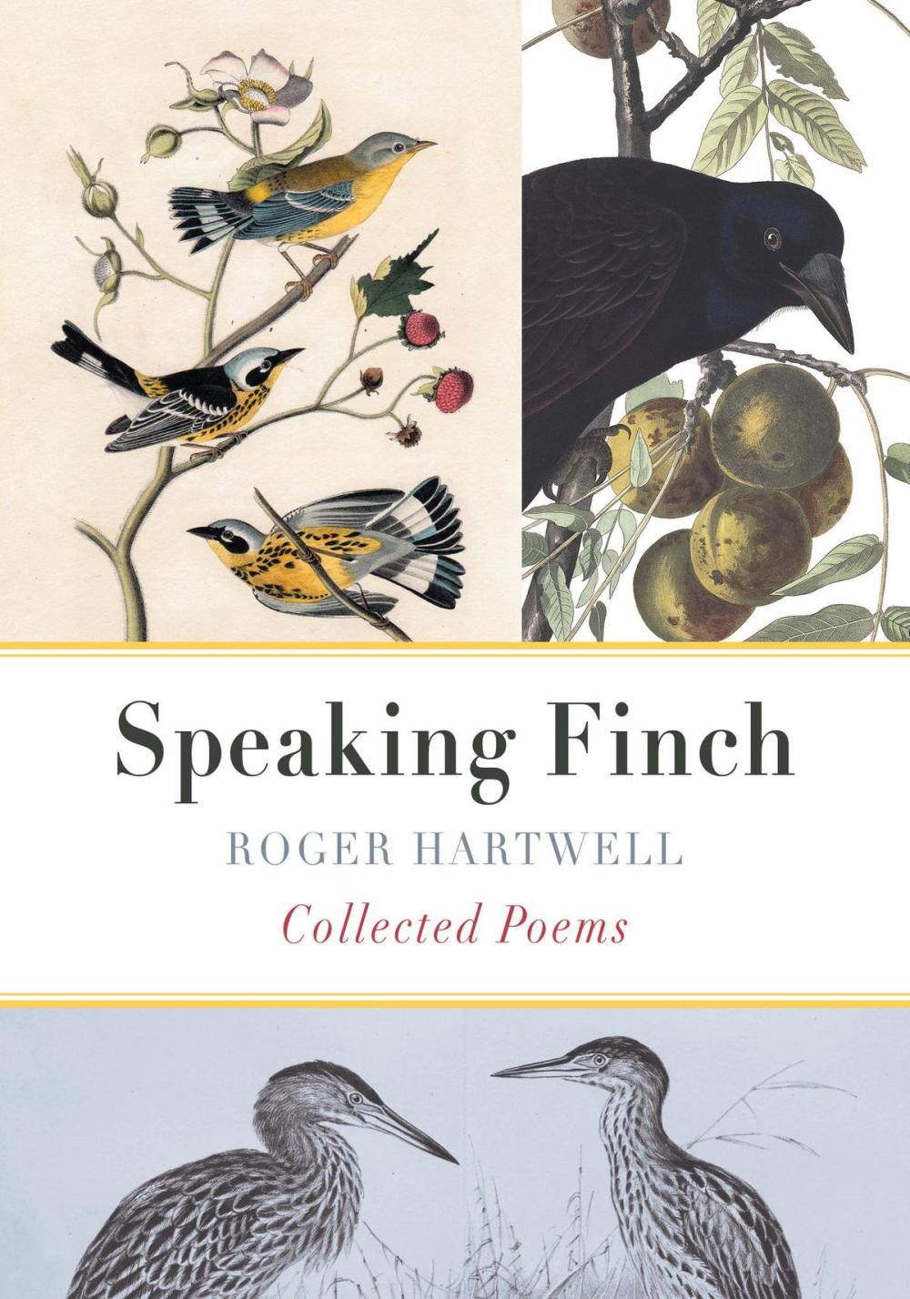 Big bigCover of Speaking Finch