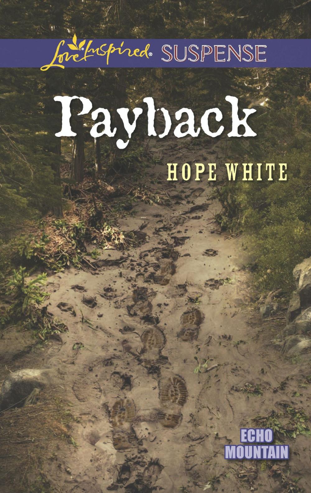 Big bigCover of Payback