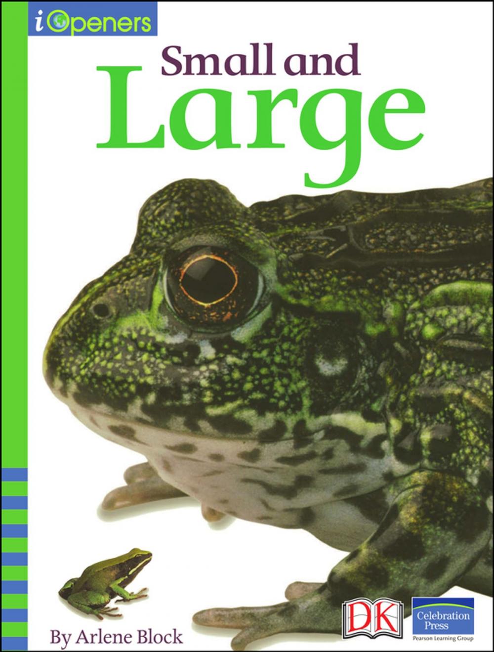 Big bigCover of iOpener: Small and Large