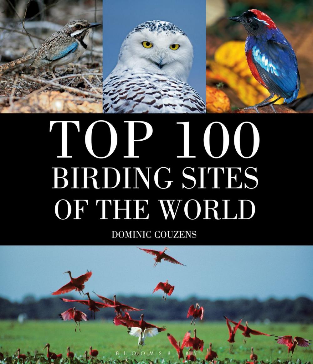 Big bigCover of Top 100 Birding Sites Of The World