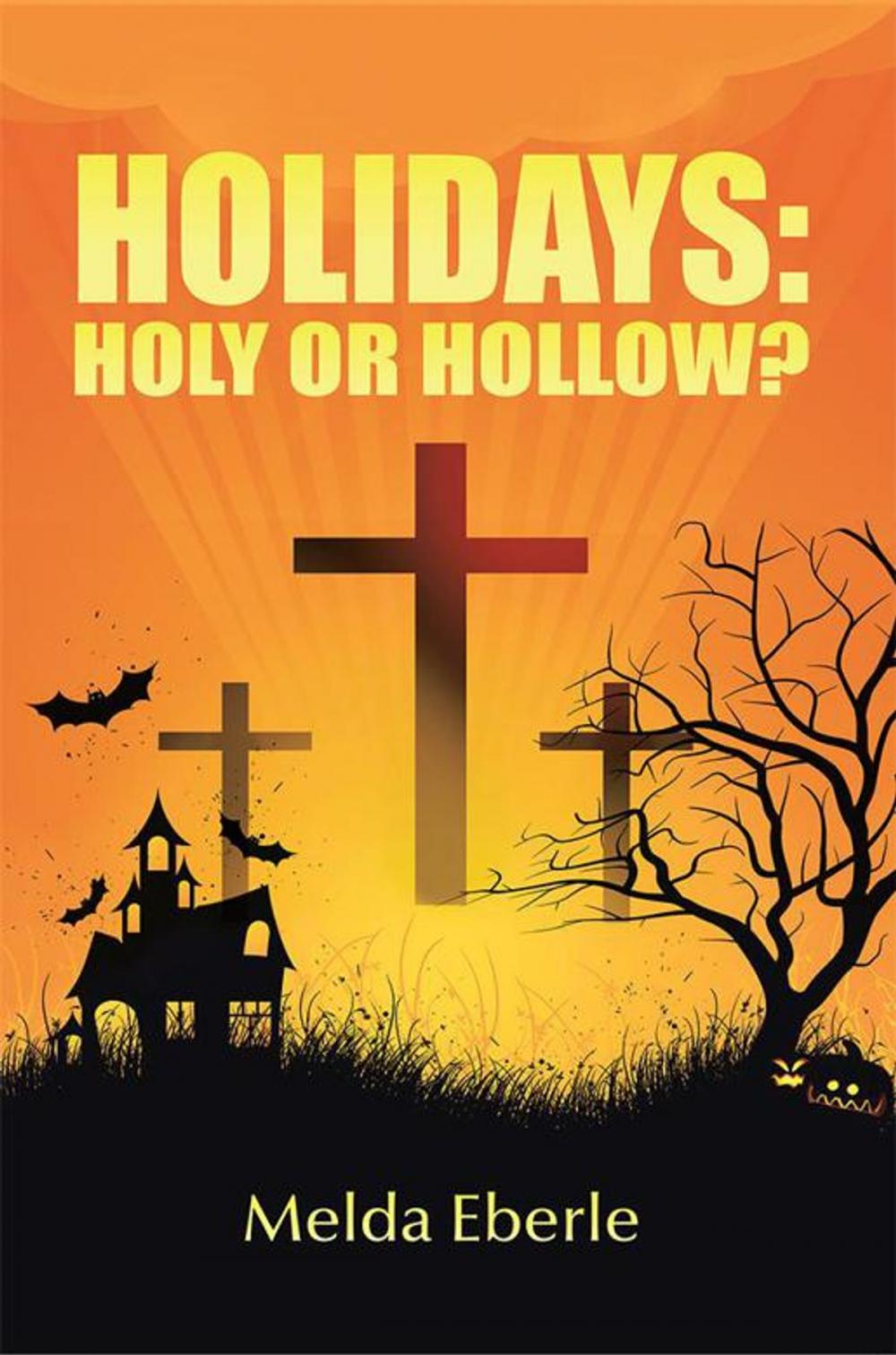 Big bigCover of Holidays: Holy or Hollow?