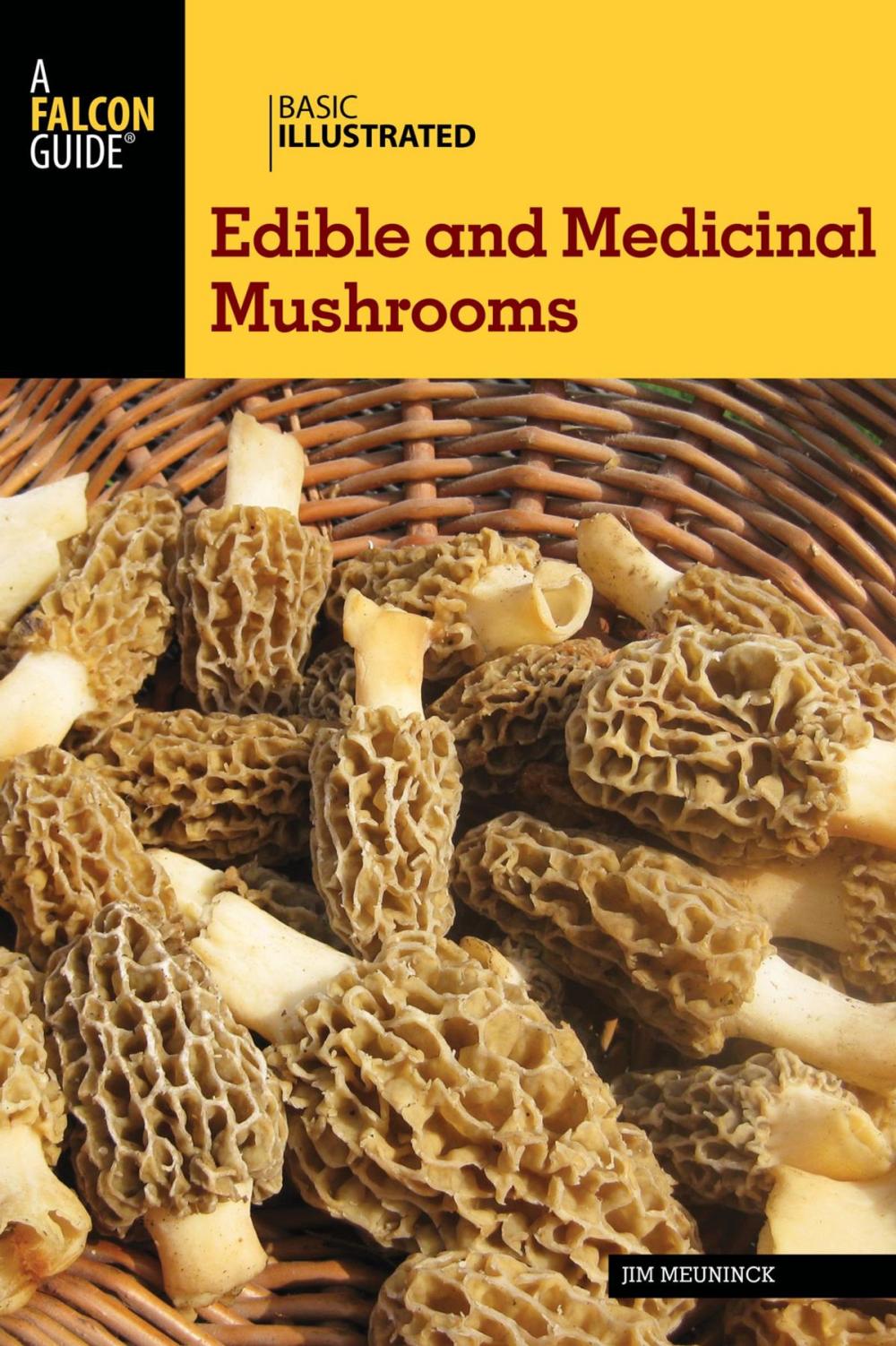 Big bigCover of Basic Illustrated Edible and Medicinal Mushrooms