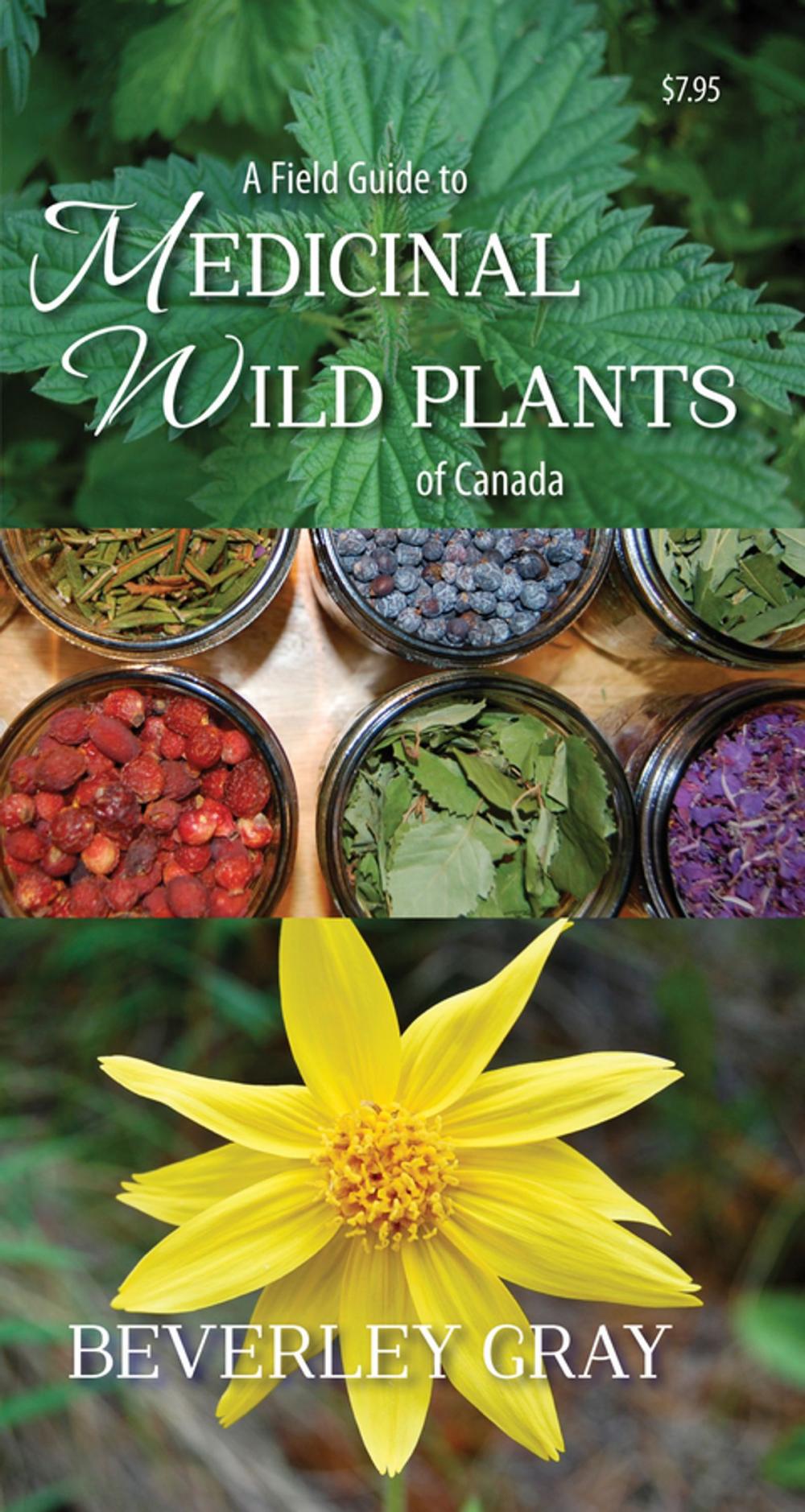Big bigCover of A Field Guide to Medicinal Wild Plants of Canada
