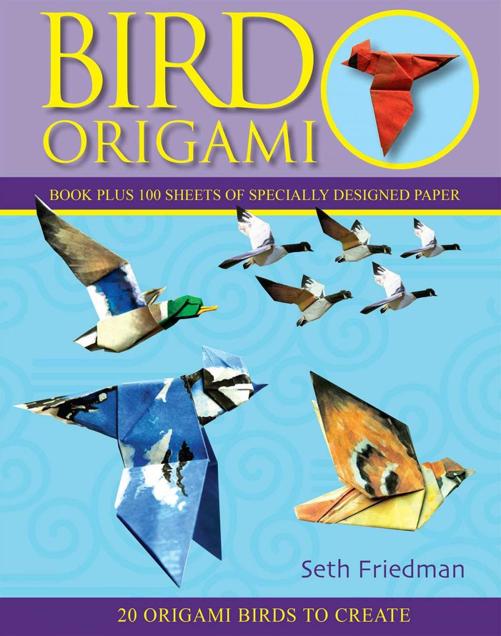 Big bigCover of Bird Origami