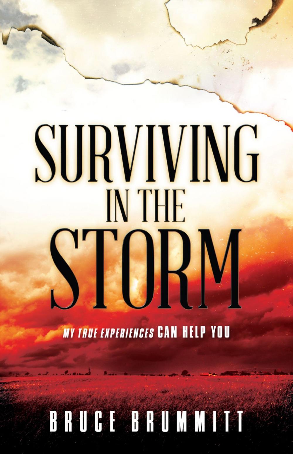 Big bigCover of Surviving in the Storm