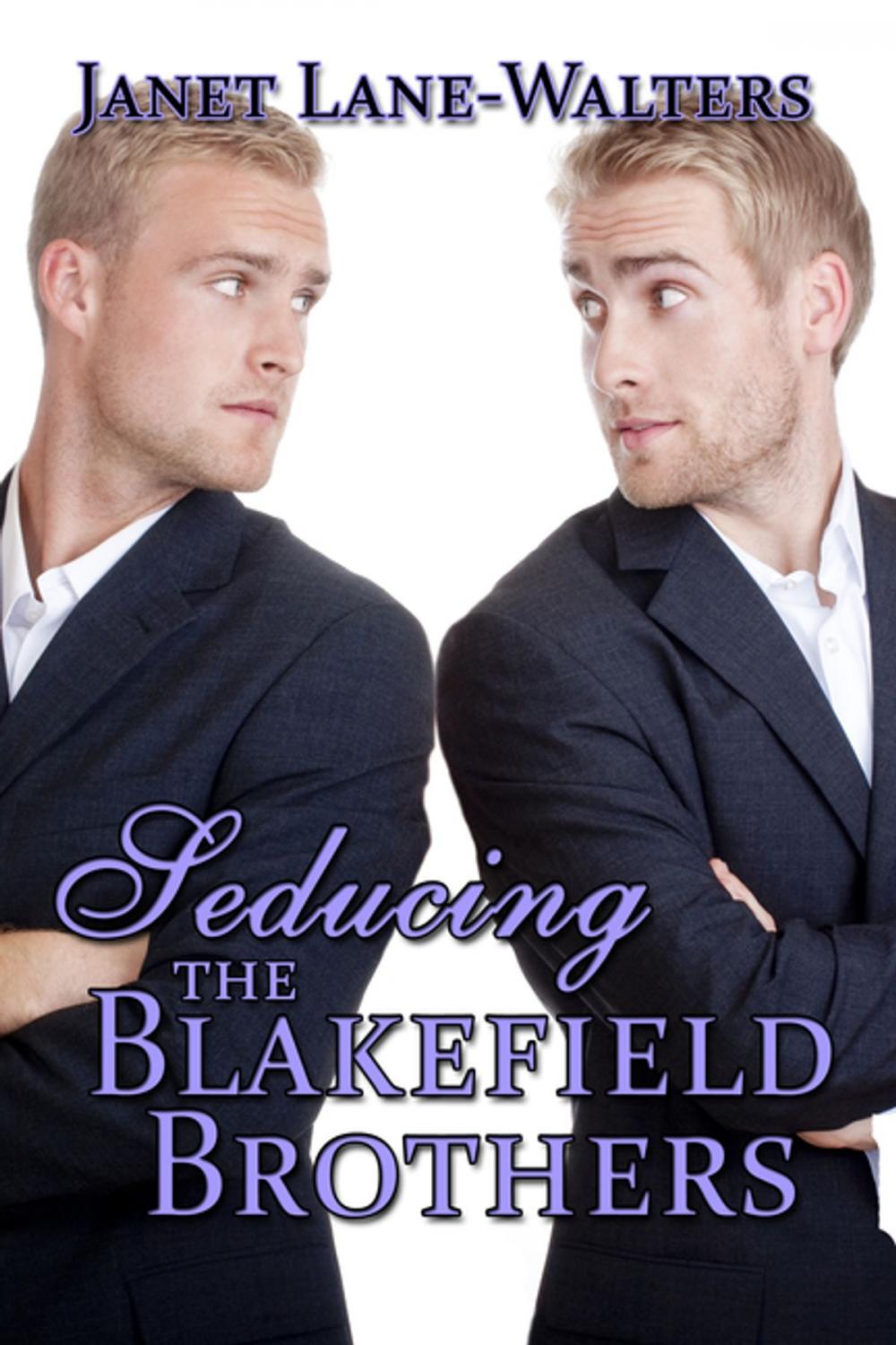 Big bigCover of Seducing the Blakefield Brothers