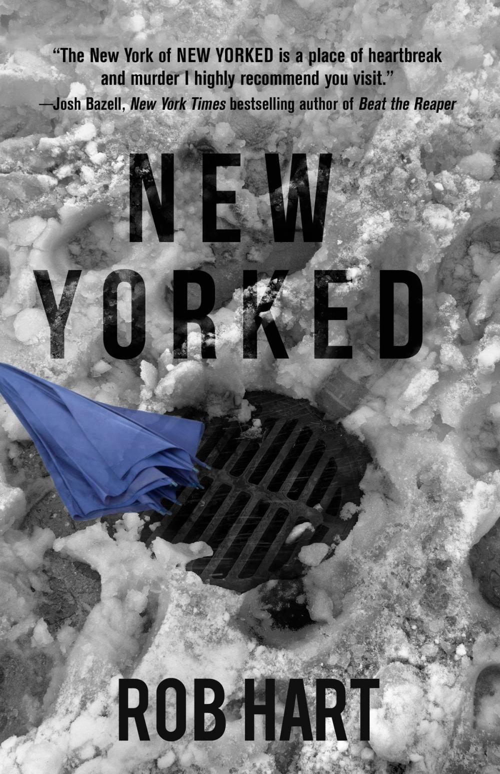 Big bigCover of New Yorked