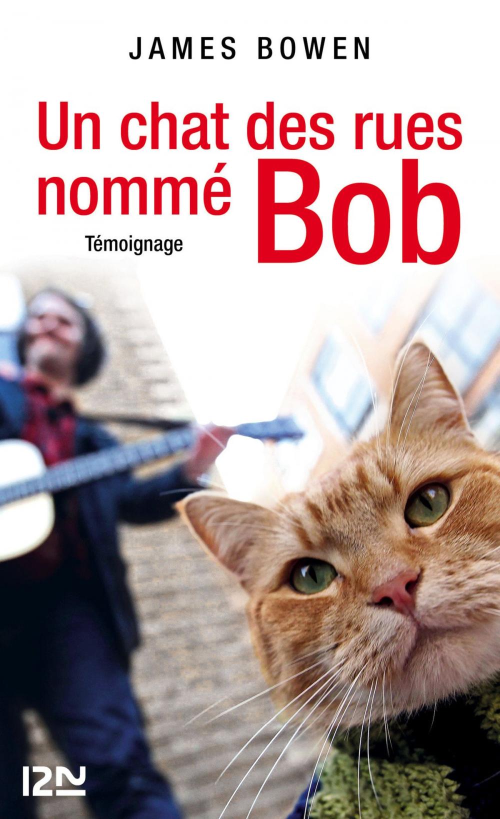 Big bigCover of Un chat des rues nommé Bob