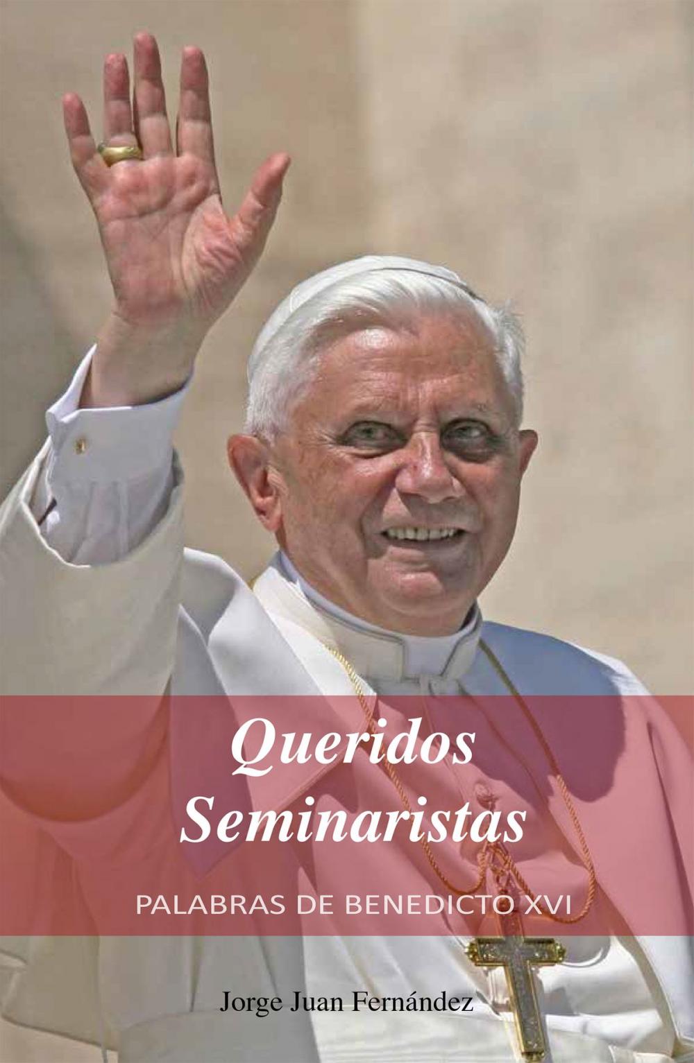 Big bigCover of Queridos Seminaristas