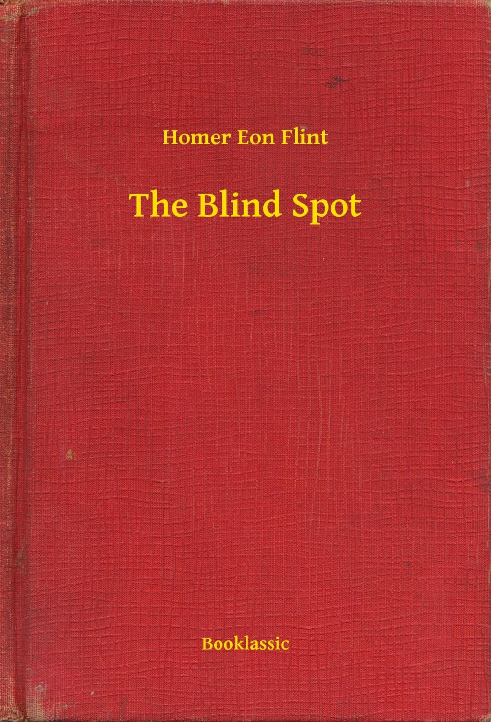Big bigCover of The Blind Spot