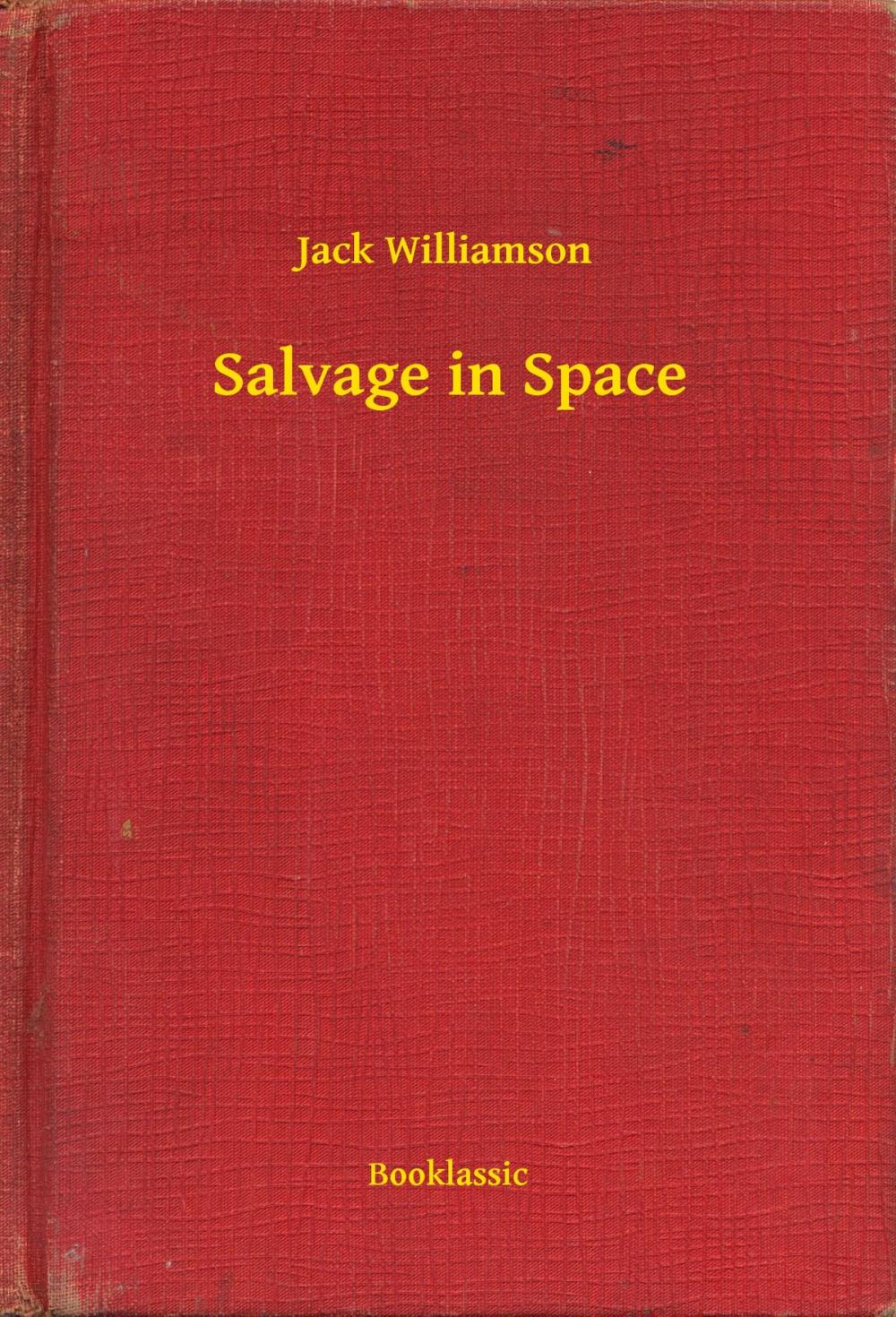 Big bigCover of Salvage in Space