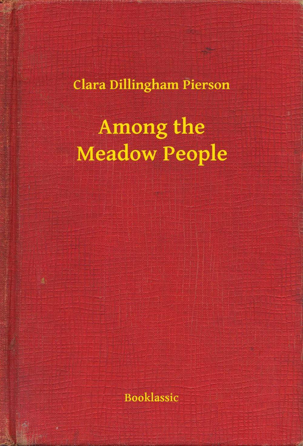 Big bigCover of Among the Meadow People