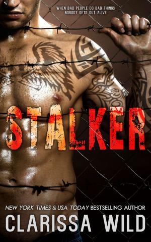 Cover of the book Stalker by Clarissa Wild