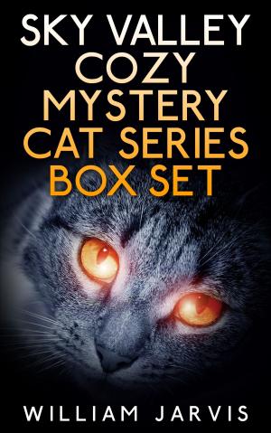 Cover of the book Sky Valley Cozy Mystery Cat Series Box Set by Janet Evans
