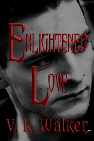 Cover of the book Enlightened Love by Rebecca Rivard