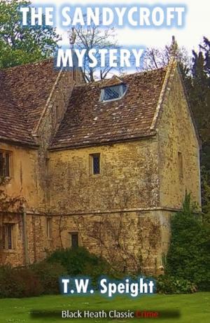 Cover of the book The Sandycroft Mystery by Henry Norman