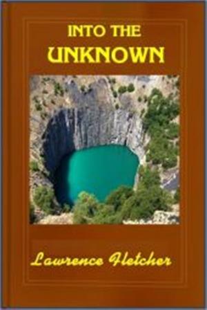 Cover of the book Into the Unknown by Florence Finch Kelly