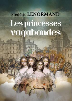 Cover of the book Les princesses vagabondes by Mark Timothy Morgan