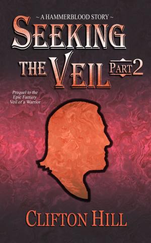 Cover of Seeking the Veil, Part 2
