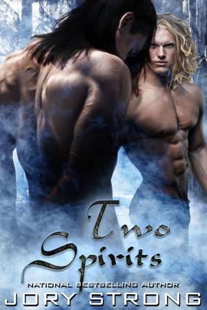 Book cover of Two Spirits