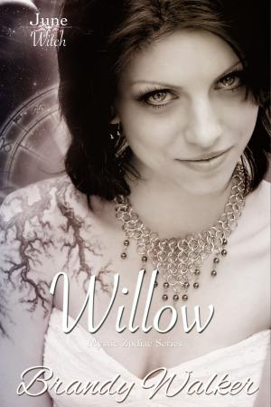Cover of the book Willow by Becky Norman