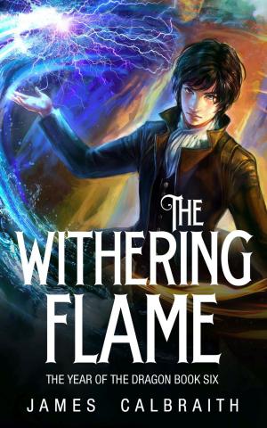 Cover of the book The Withering Flame by J. K. Cooke