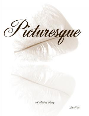 Cover of the book Picturesque by Memoirs of Life Publishing, Jessiqua Wittman