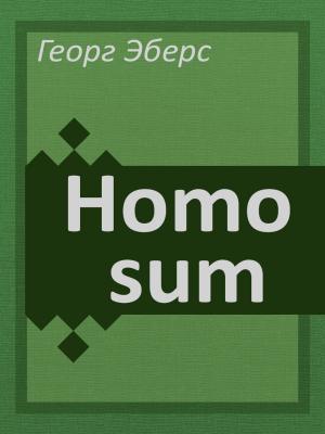Cover of the book Homo sum by E.T.A. Hoffmann