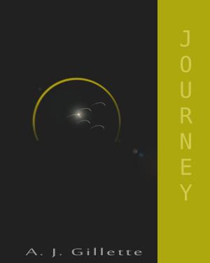 Cover of the book Journey by Alisha Basso