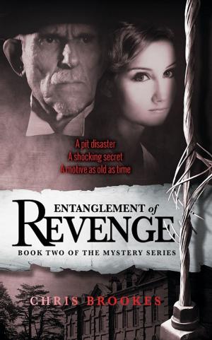 Cover of the book Entanglement of Revenge by Amelia Wren