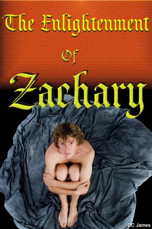 Cover of the book The Enlightenment of Zachary by DC James