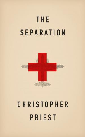 Cover of the book The Separation by Hamad Subani